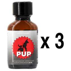 BGP Leather Cleaner PUP 24ml x3